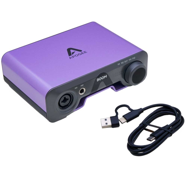 2 IN X 2 OUT USB-C Entry-Level Audio Interface with DSP