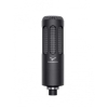 Beyerdynamic M 70 Pro X Dynamic Broadcast Microphone for Streaming and podcasting