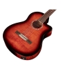 Cordoba Fusion 5 Edge Burst Fusion Series Cutaway Fishman Presys Electro Acoustic Classical Guitar