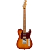 Fender Player Plus Nashville Telecaster Pau Ferro Fingerboard SS Electric Guitar with Deluxe Gig Bag Sienna Sunburst 0147343347