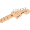 Fender American Performer Timber Stratocaster Limited Series Maple Fingerboard SSS Neck