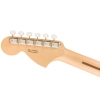 Fender American Performer Timber Stratocaster Limited Series Maple Fingerboard SSS Neck