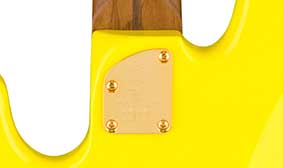 22-FRET ROASTED MAPLE FINGERBOARD